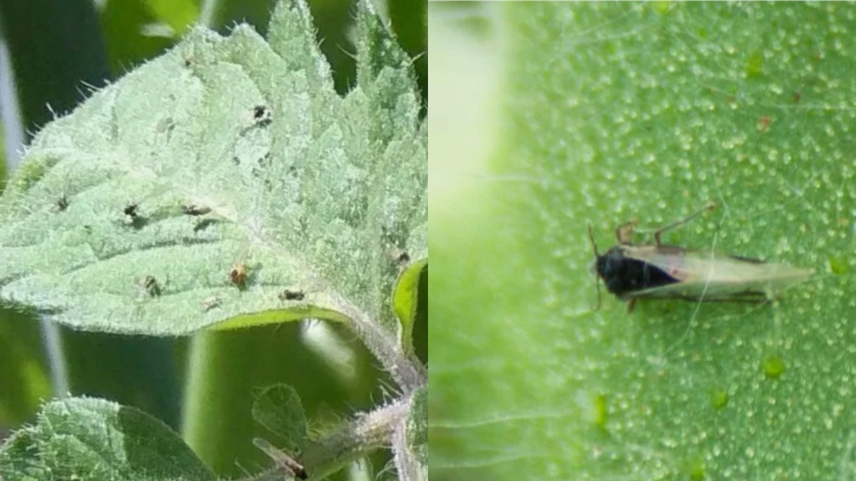 Знакомая картина — и она повторяется каждый раз по одной причине