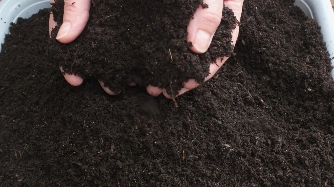 Покупной биогумус — частый источник заражения, о котором не предупреждают на упаковке