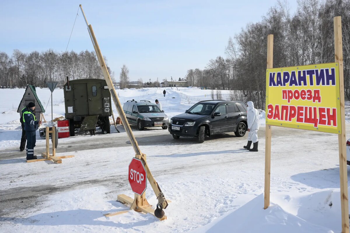     © РИА Новости. Александр Кряжев