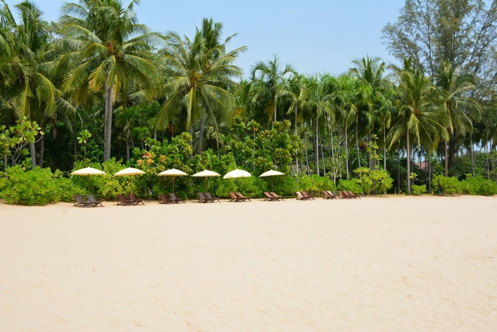 @Siamways Individualreisen/Unsplash