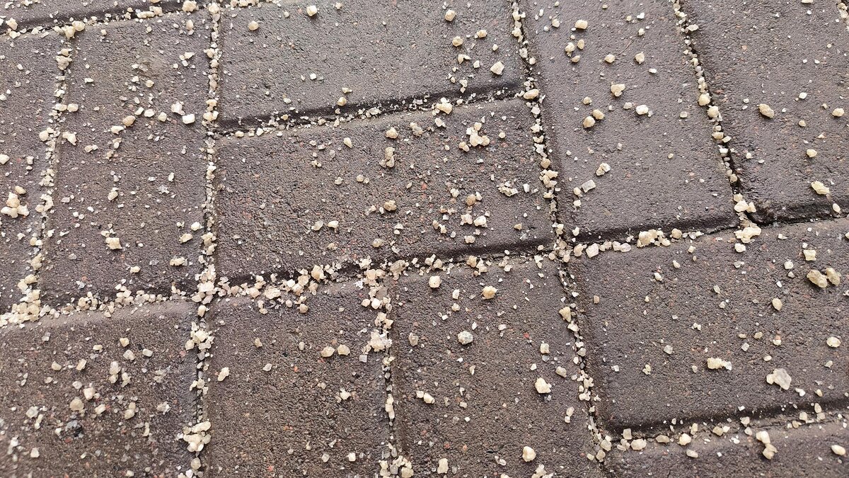    Фото: Maksim Konstantinov/globallookpress.com