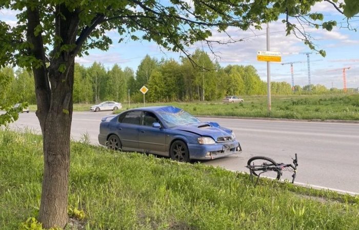 Фото: ГАИ по Новосибирской области.
