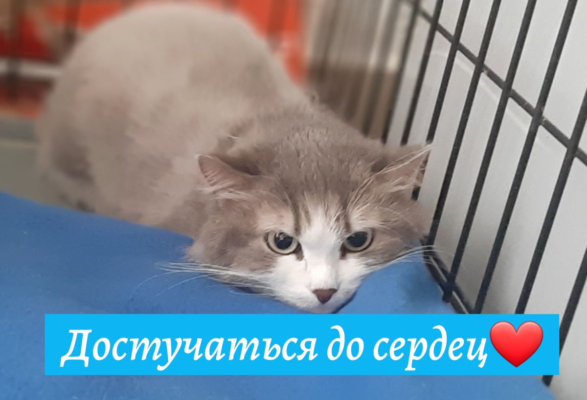 Мари. Тоже подкидыш. Одна из многих на этоц планете. Чье то еще необретенное счастье