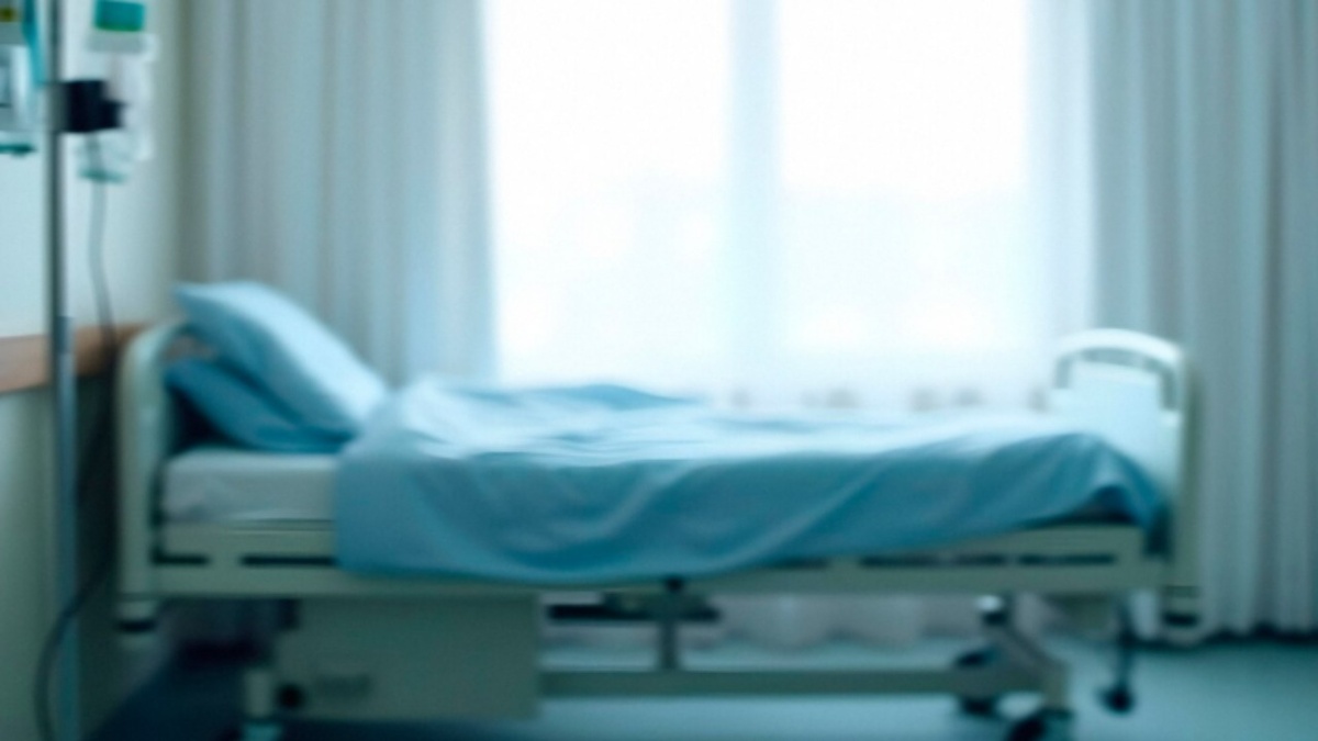 Фото: freepik.com/author/freepik