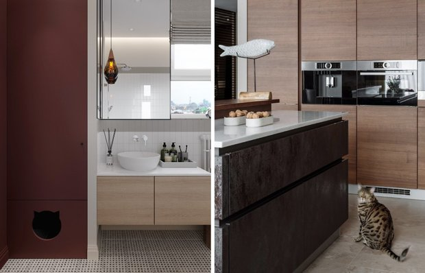 Дом, где живет кошка: классные идеи для интерьера, подсмотренные у наших героев