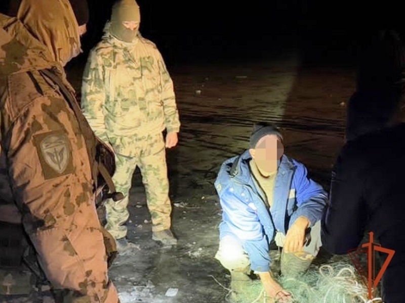 Задержали сетевиков