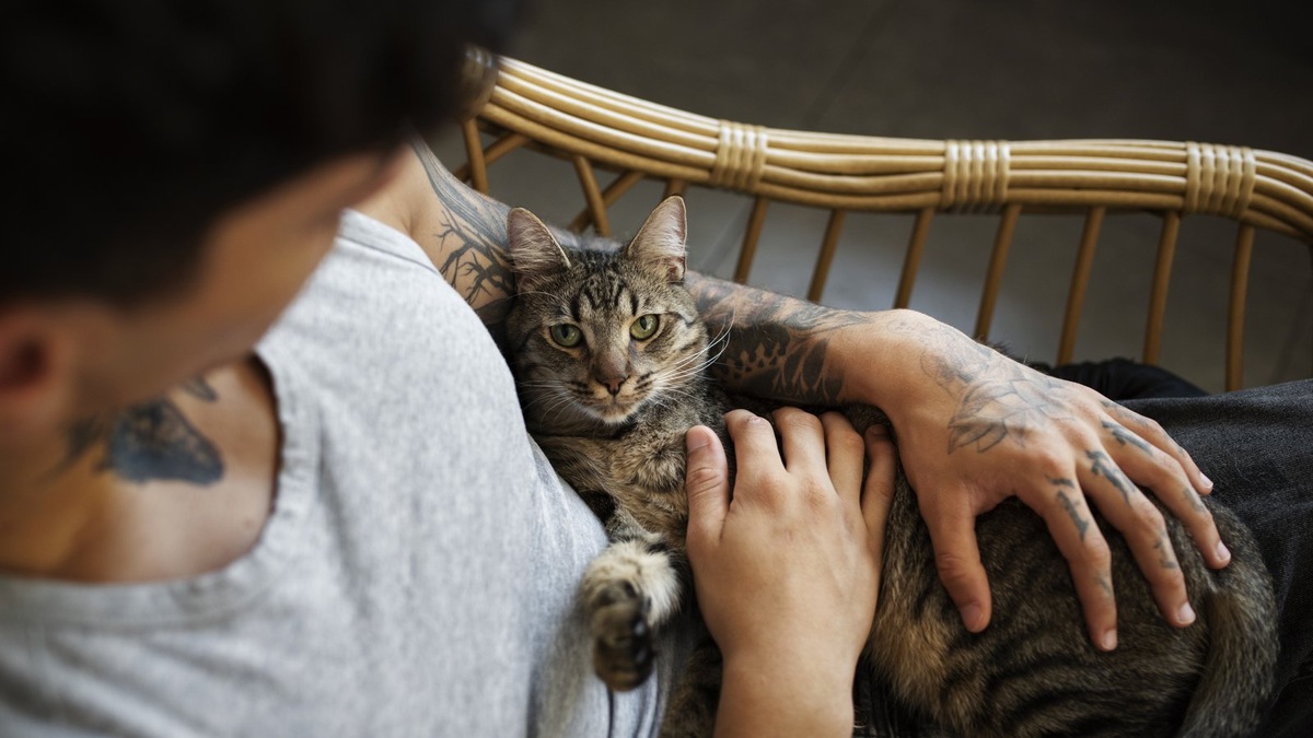    Выставки с возможностью пристройства дают возможность подопечным приюта обрести долгожданный дом