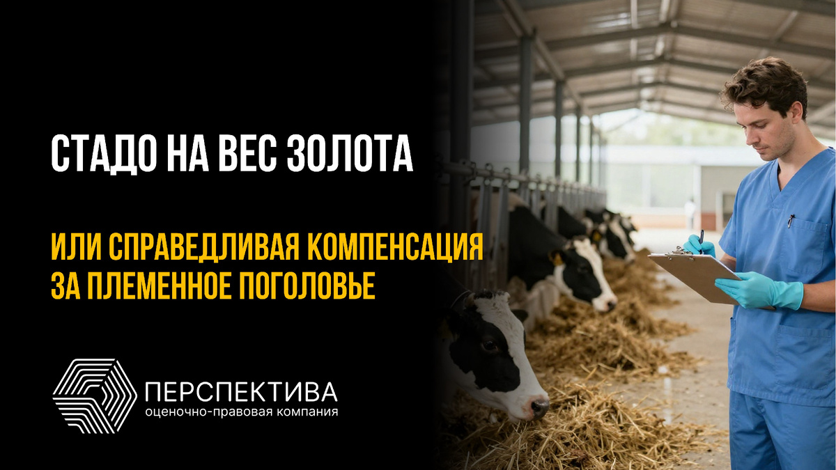 Оценка рыночной стоимости племенного стада