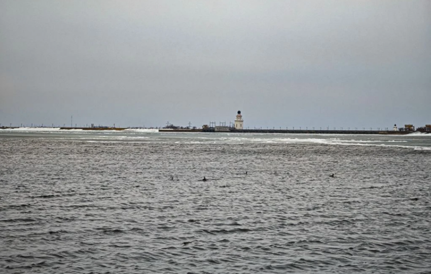 Уточки в море, берег в снегу, но весна все ближе: душевный видеорепортаж с берега Цимлянского водохранилища Ростовской области