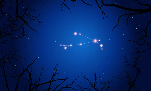 Лицензия: Freepik