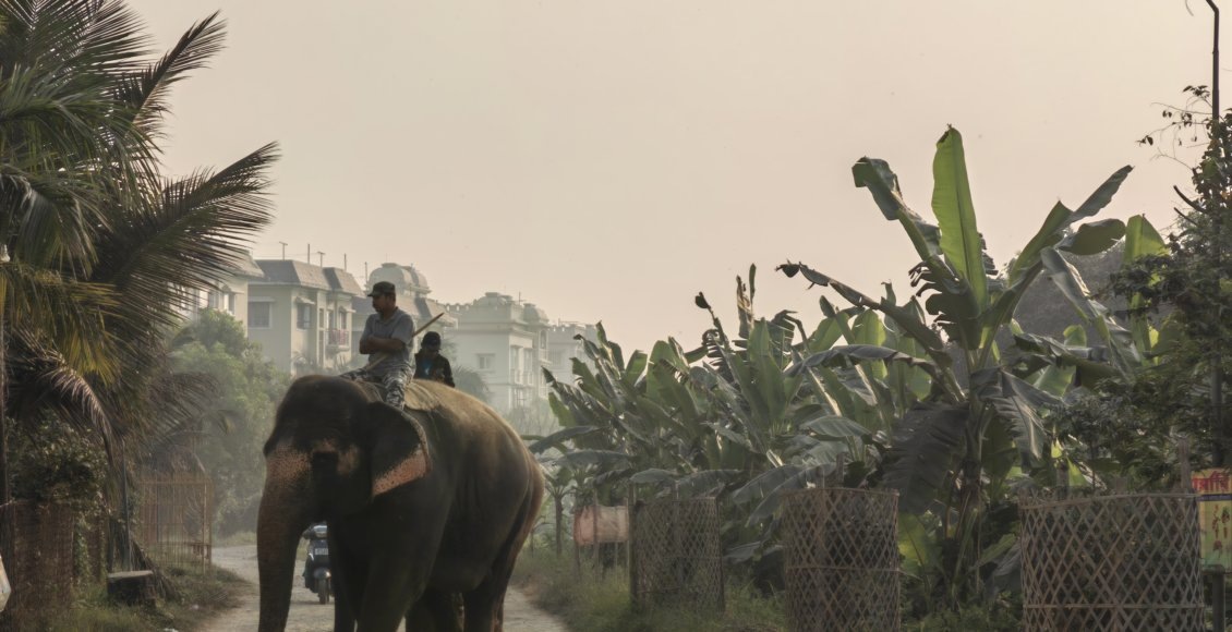    Фото: НИА "Экология"