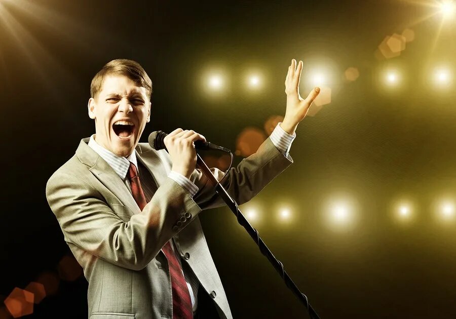 На концерте