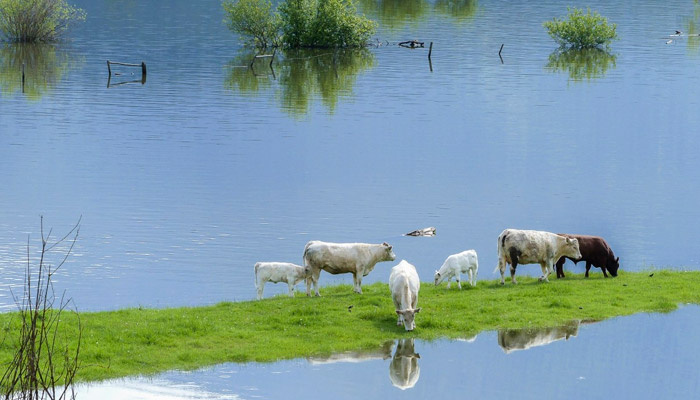 Фото: pxhere.com