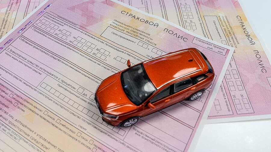    Фото: Global Look Press/Bulkin Sergey/news.ru