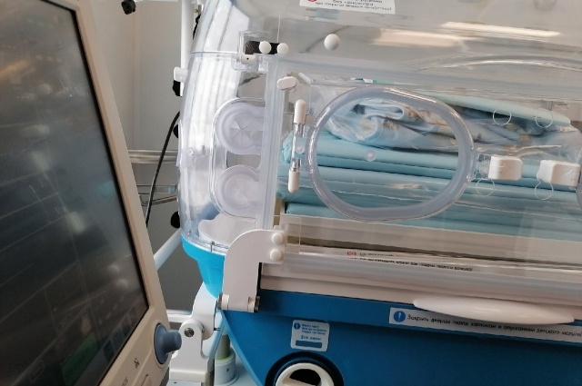    Фото: АиФ/ Анна Мурзина