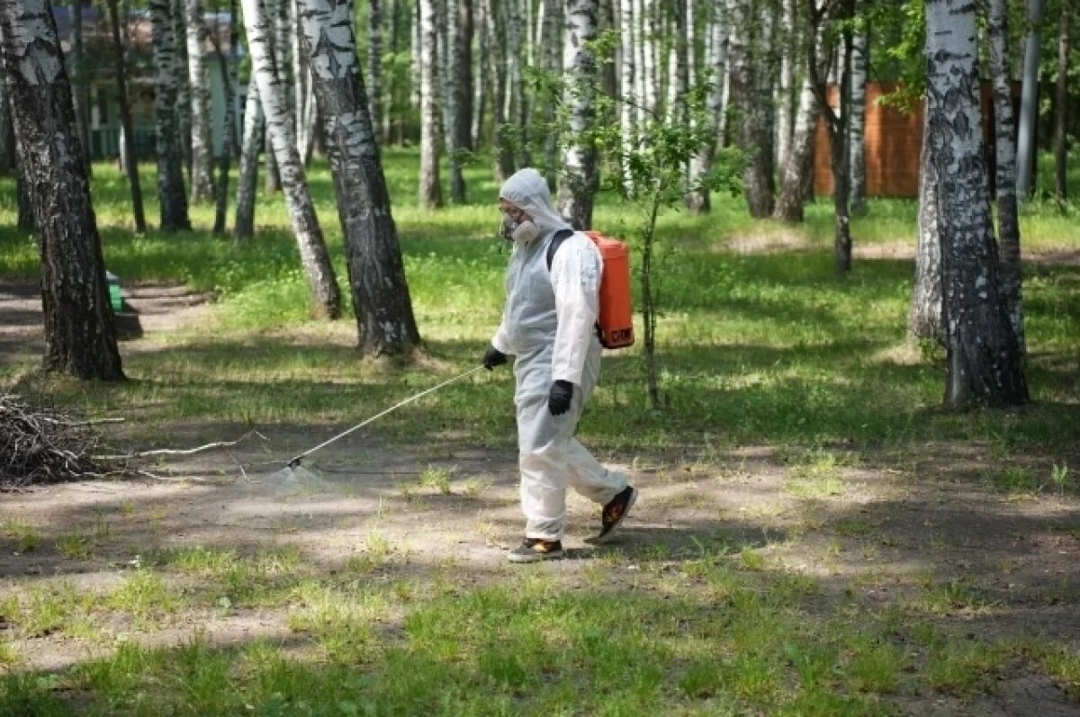    54 общественных пространства Ульяновска в апреле-мае обработают от клещей