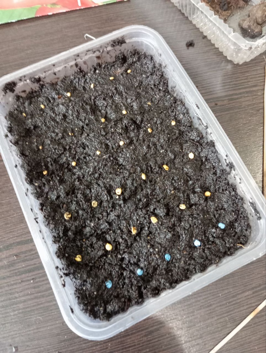 Вот как это выглядело после посадки