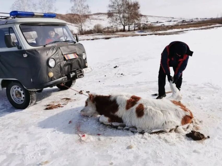   Фото: Забайкалпожспас