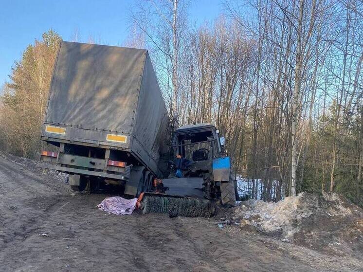     фото: телеграм-канал ГОСАВТОИНСПЕКЦИи БРЯНСКОЙ ОБЛАСТИ