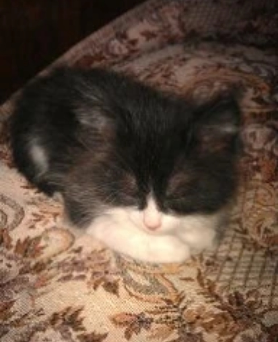 И куда меня опять занесло?