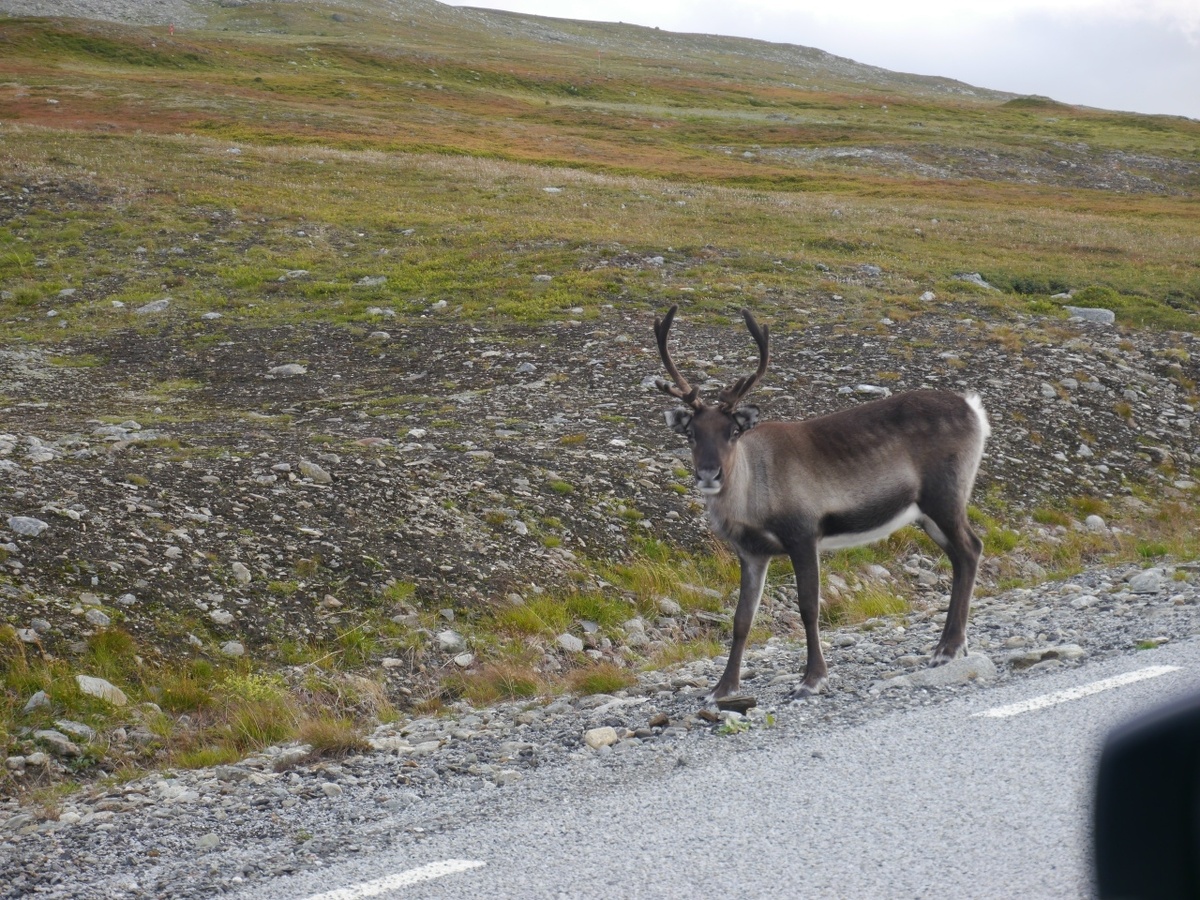 фото Натальи Агафоновой, моей подписчицы