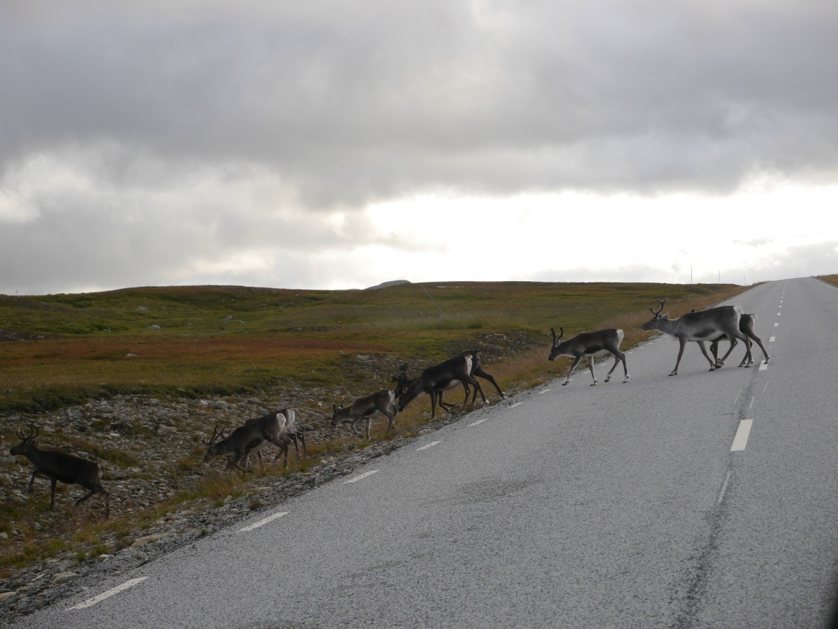 фото Натальи Агафоновой, моей подписчицы