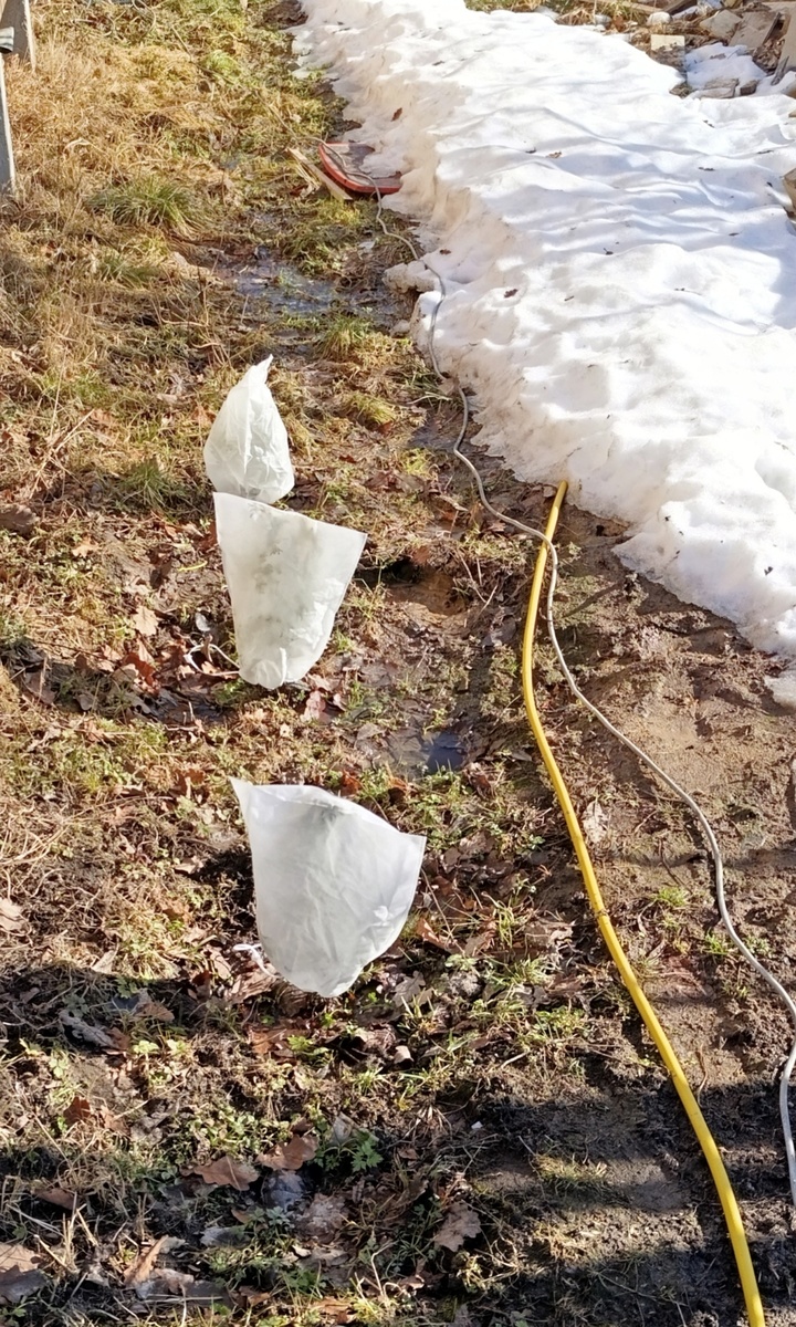 Укрыла накануне 