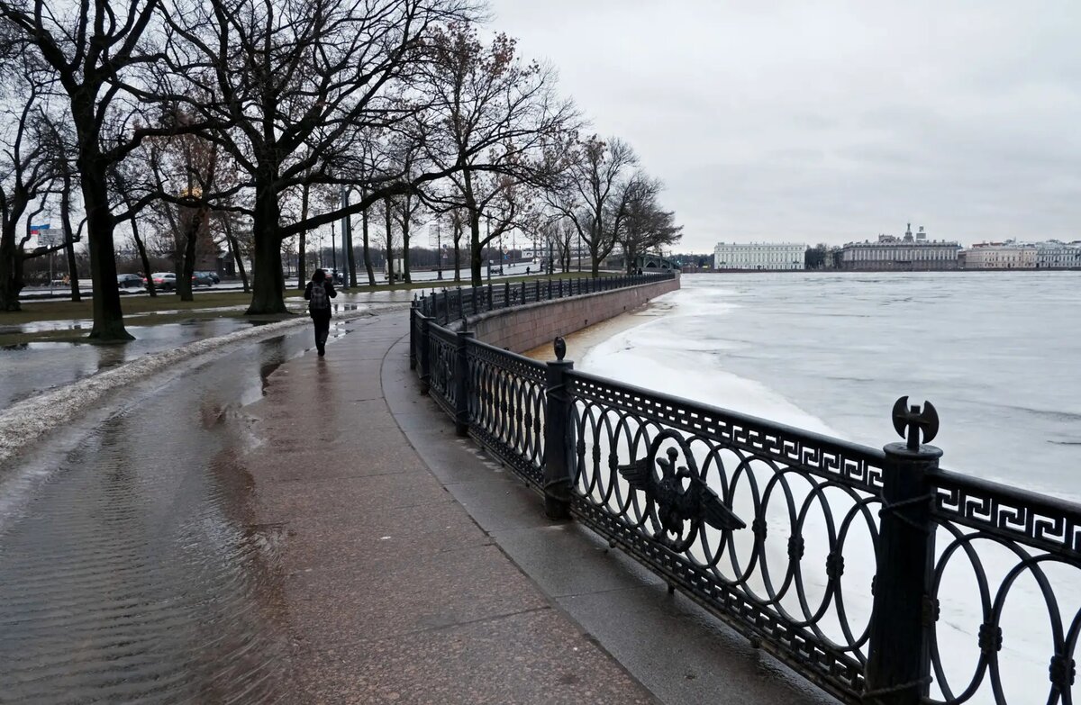     © РИА Новости. Алексей Даничев