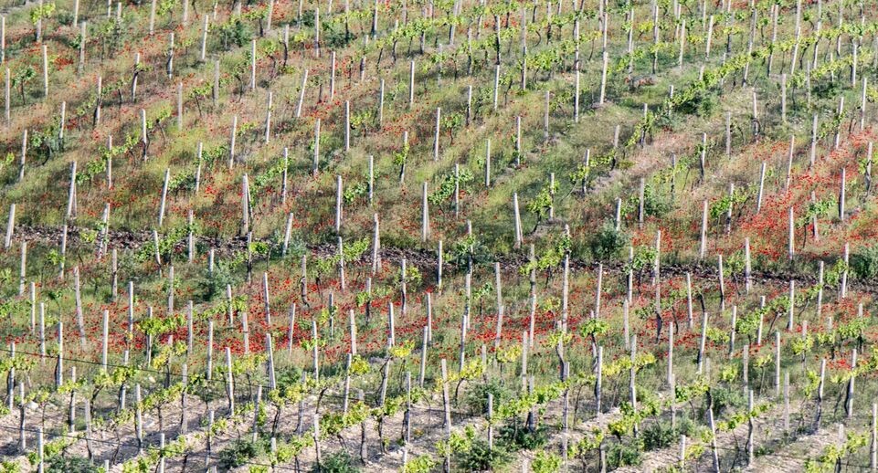    Serguei Fomine/Russian Look / www.globallookpress.com