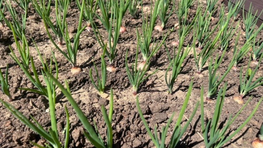    Фото "Про Город"