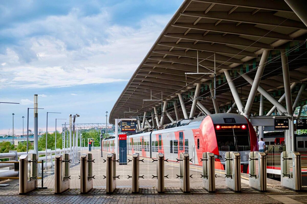Фото: Telegram/Дмитрий Плишкин  📷

