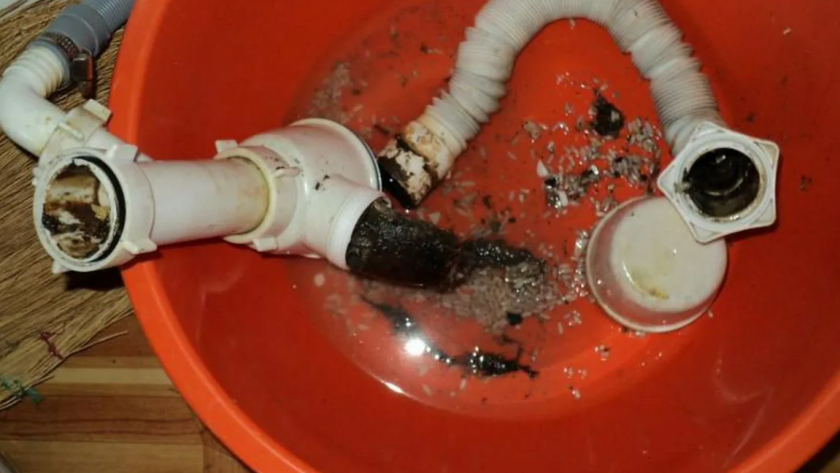    Фото Дзен-канала "Анастасия BORSCH-TV"