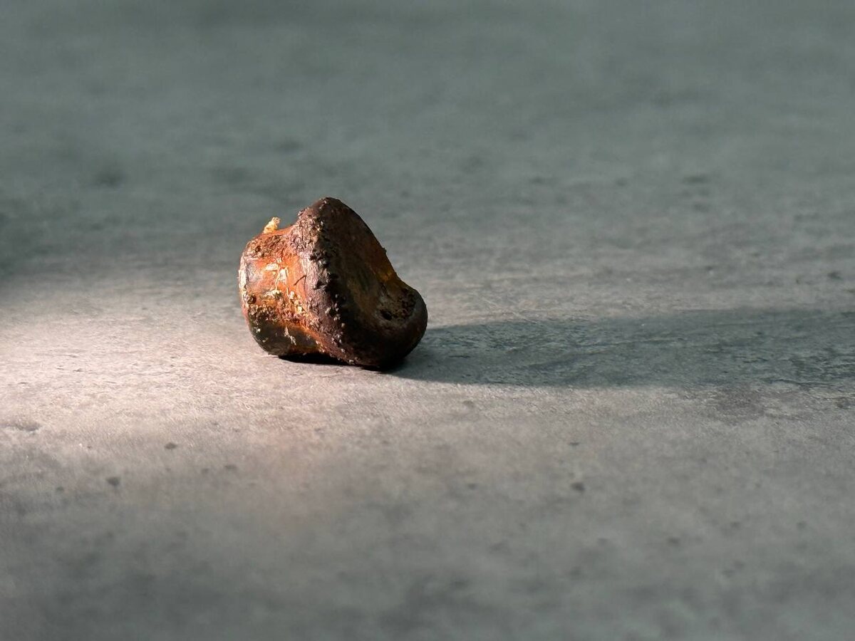 Фото: Мария Благова 