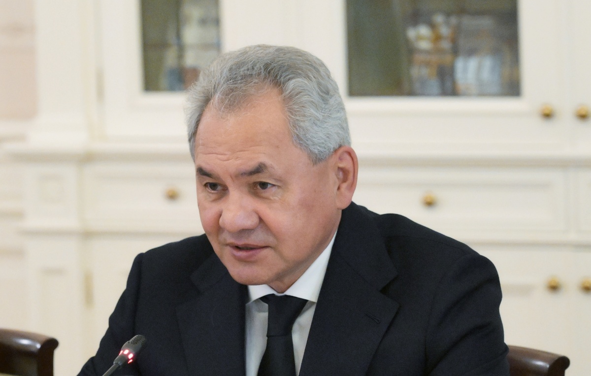    Сергей Шойгу (фото: РИА)