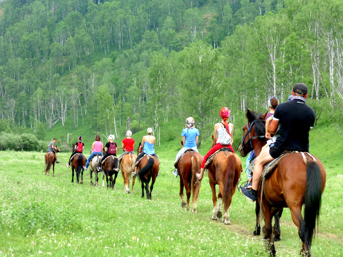 Конные прогулки