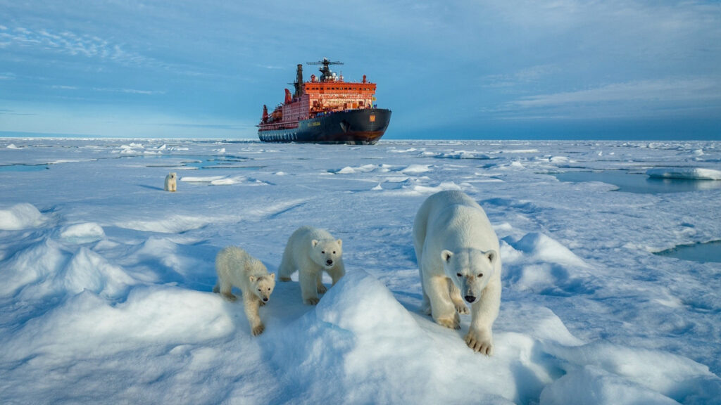      И трех миллионов рублей — мало: самый дорогой круиз лета пройдет на Северный полюс
