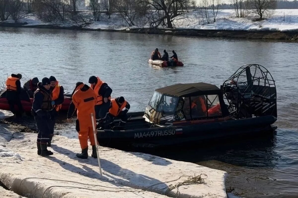    Спасатели рассказали, почему долго не могут найти Алину в Звенигороде