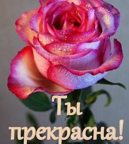 Фото с интернета. 