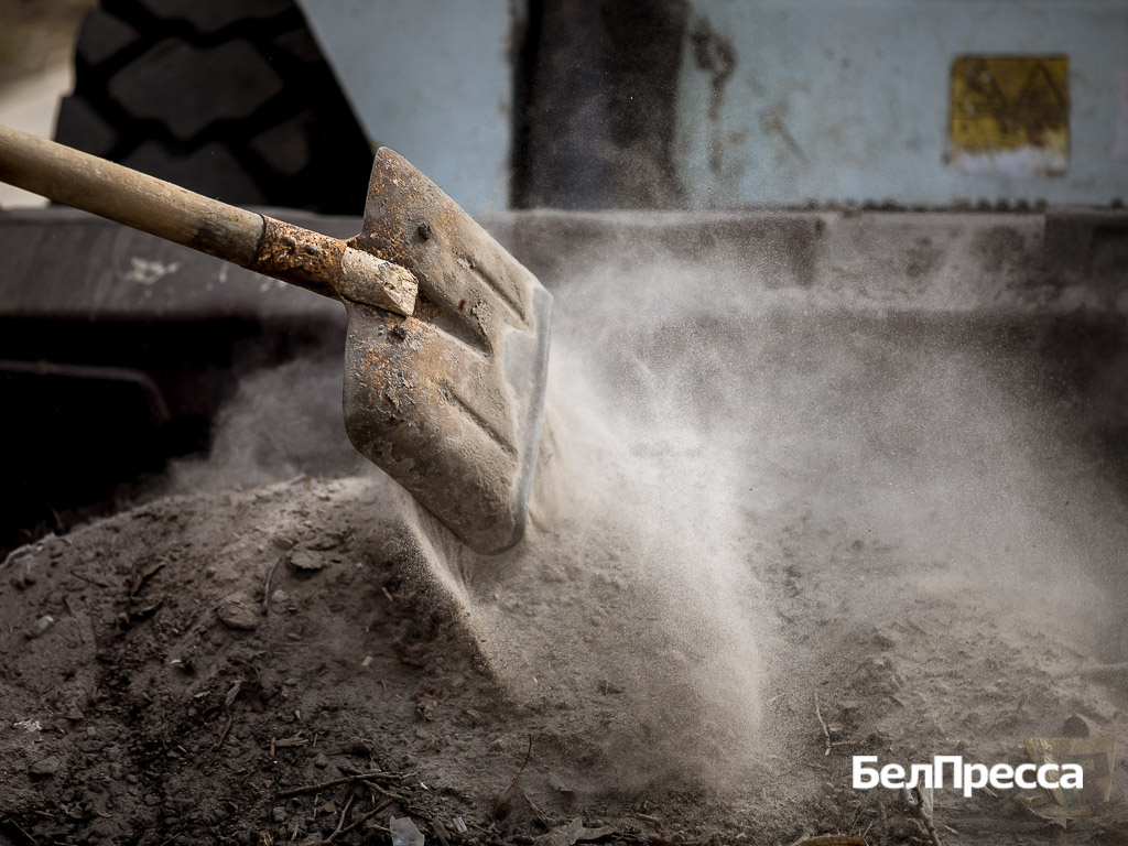     Фото: Павел Колядин