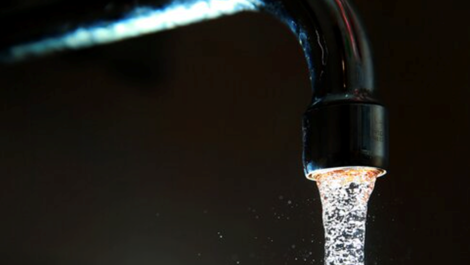 Автор фото: Владимир Смирнов / ТАСС