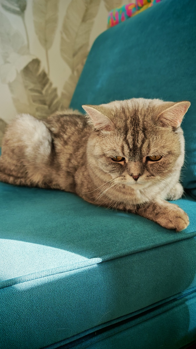 Фото автора 