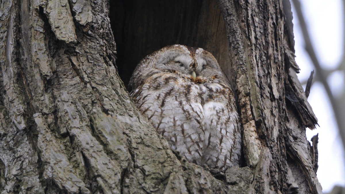    Фото подобрано под тему статьи