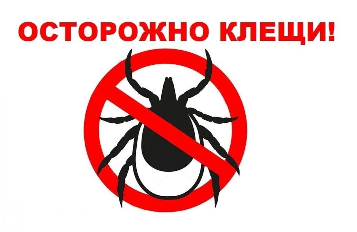 источник фото: https://cdn.culture.ru/images/e05a10ab-e818-58e1-95d7-14085b016a1c