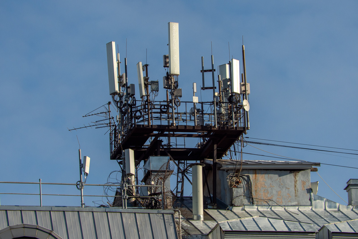 Фото: Олег Золото / «Вечерний Санкт-Петербург»