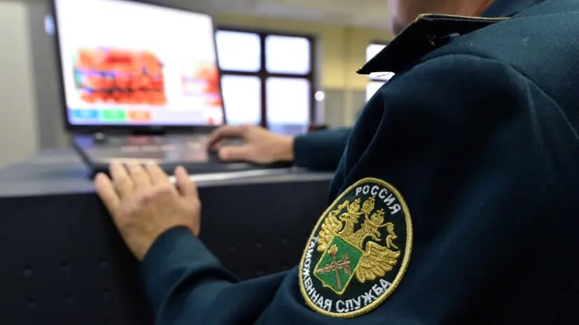    Источник: russian.rt.com Оливия Ильинская