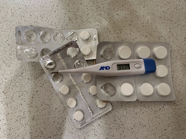     Фото: архив МК в Питере