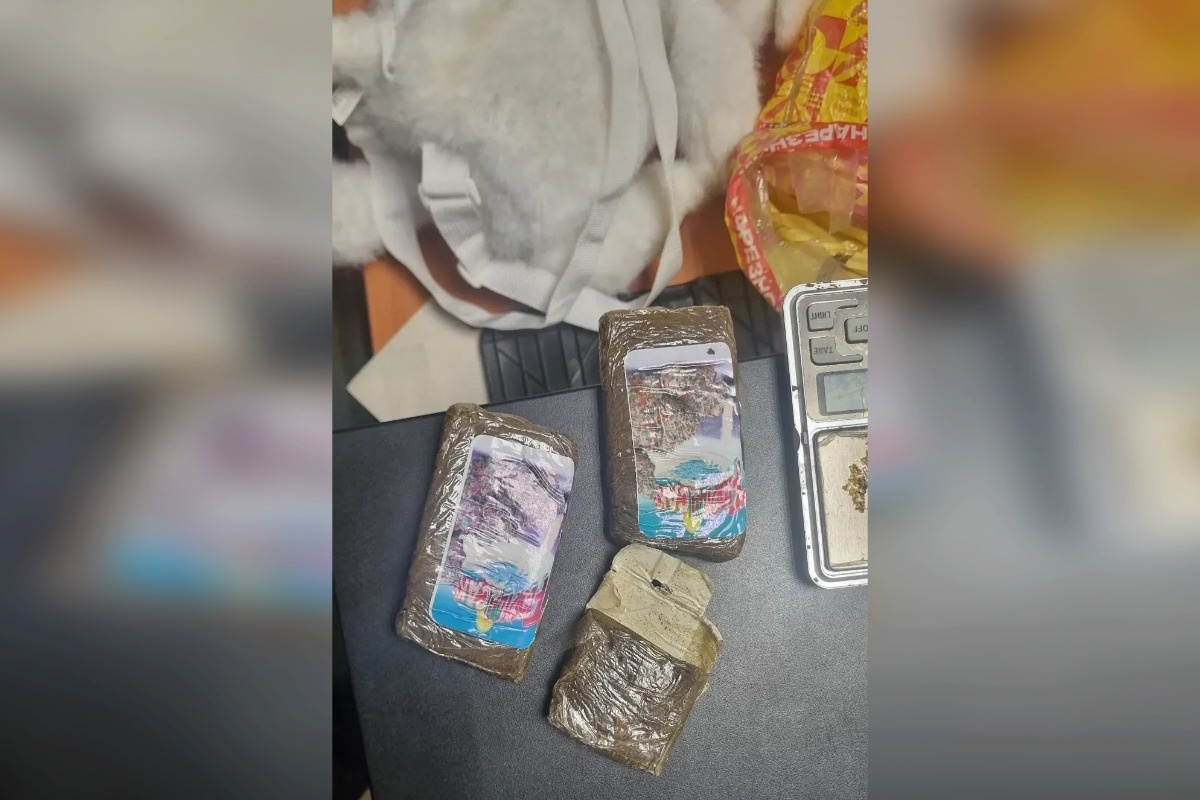    Фото: пресс-служба ГУ МВД России по Челябинской области