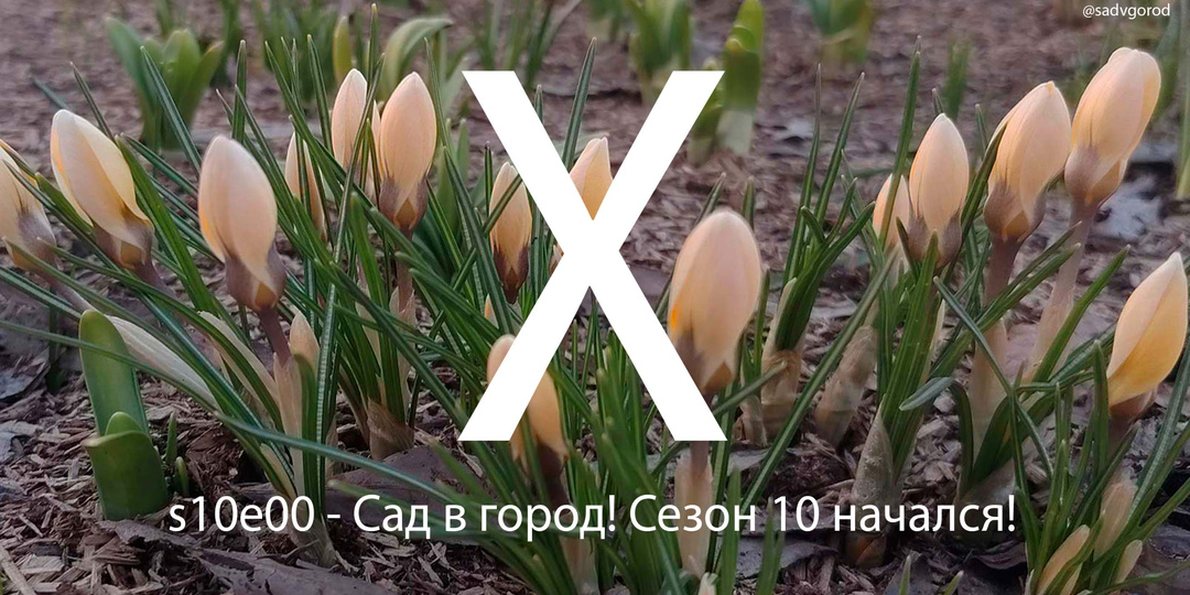 Садовый дневник - 16.03.2026. Старт сезона