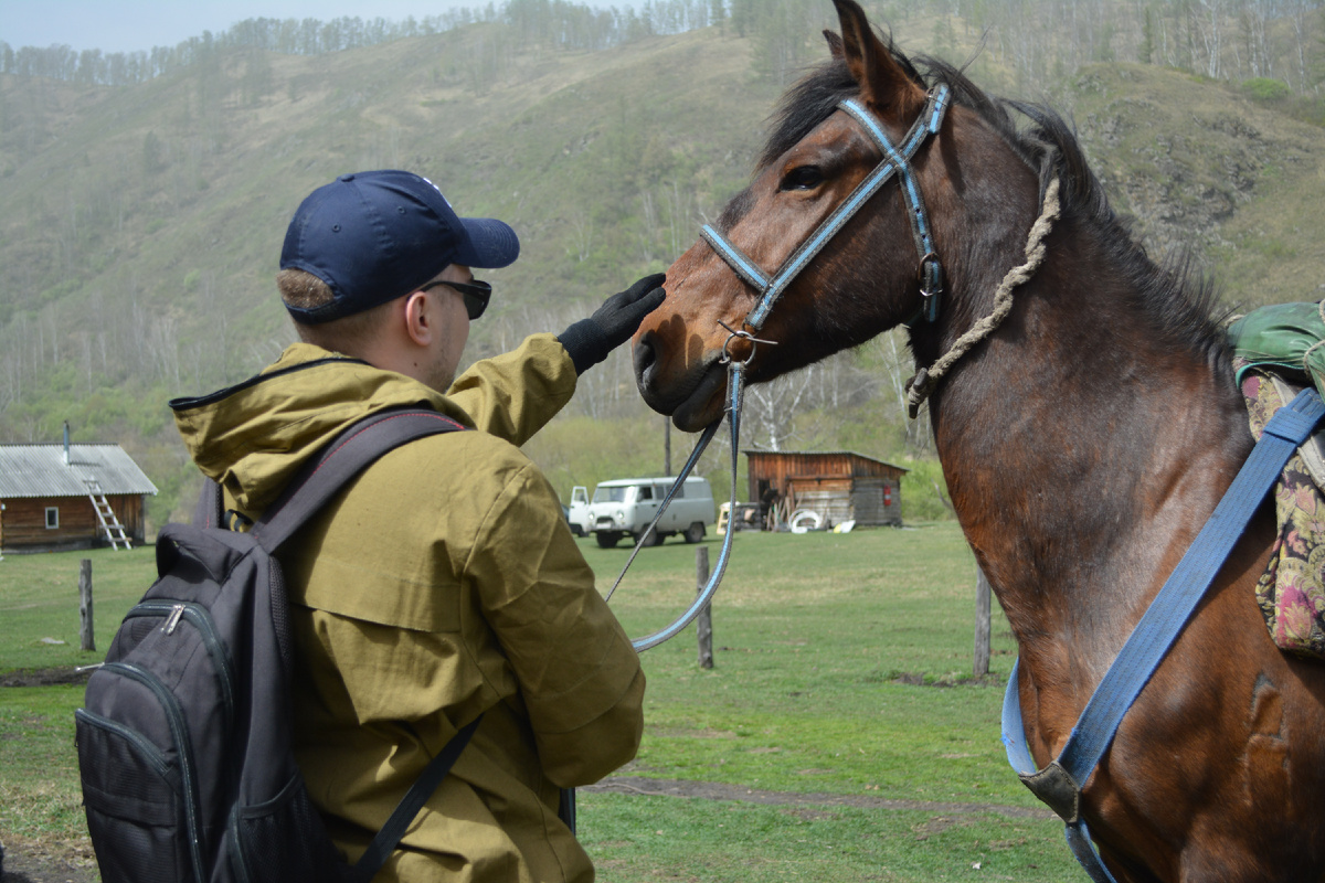 Прокат лошадей весной