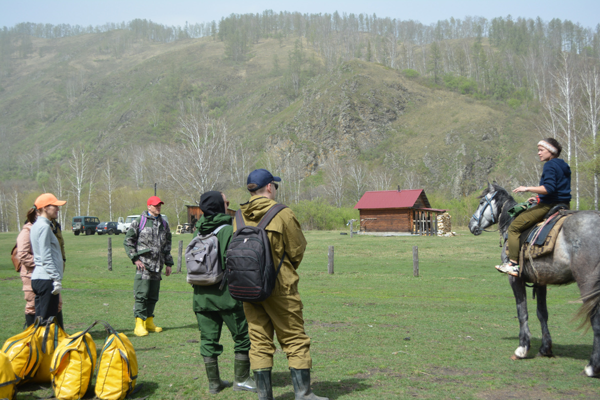 Прогулки на лошадях